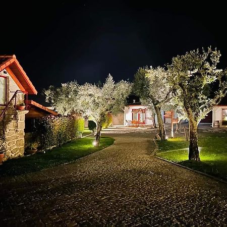 Penedo Village Marco de Canavezes 외부 사진
