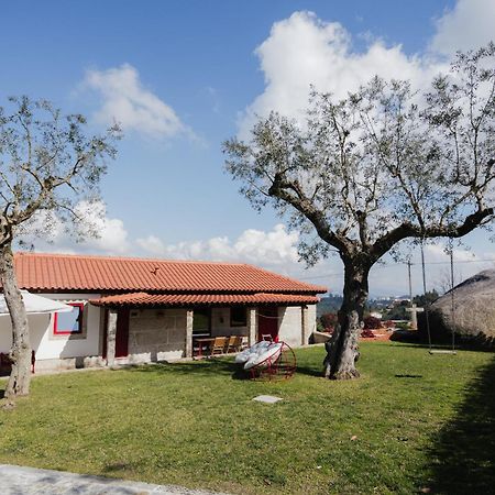 Penedo Village Marco de Canavezes 외부 사진