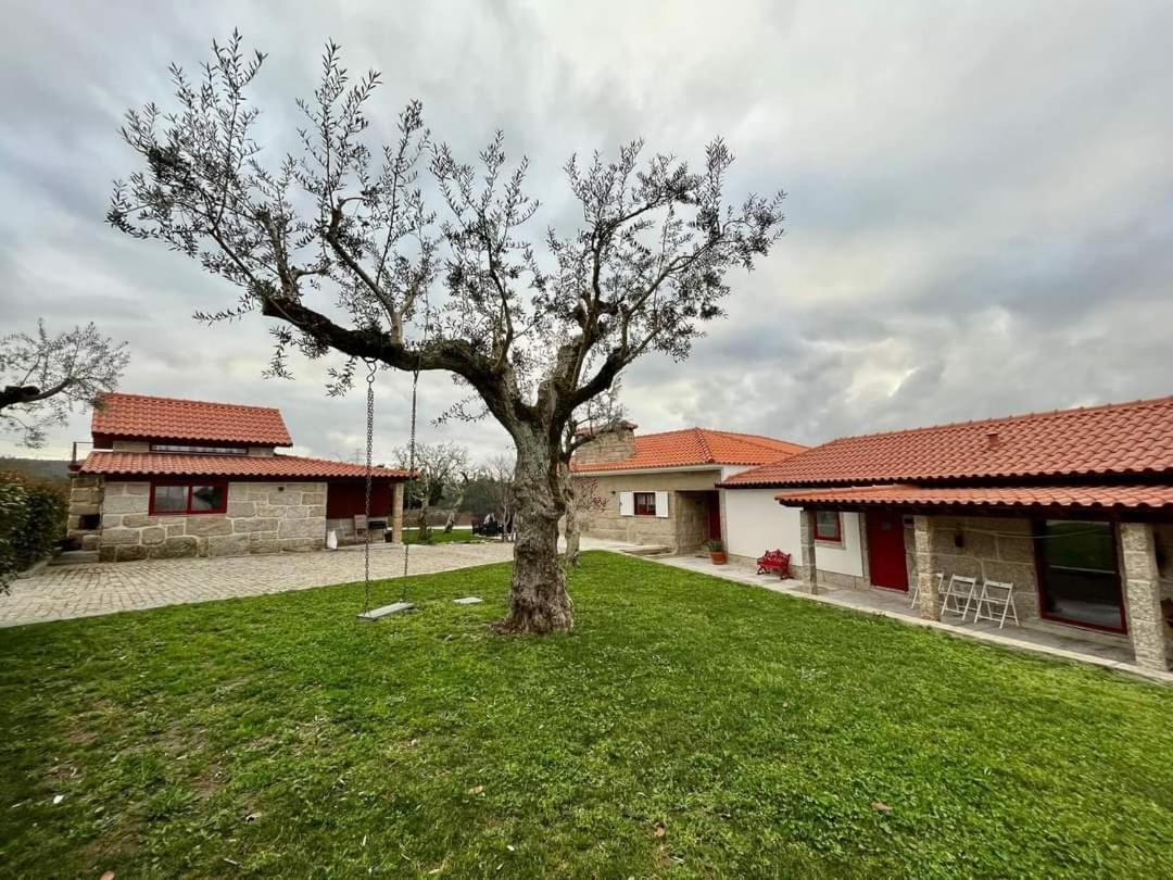 Penedo Village Marco de Canavezes 외부 사진